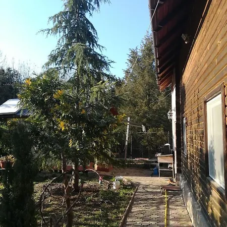 Casuta Din Padure Prázdninový dům Olimp