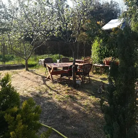 Holiday home Casuta Din Padure Olimp