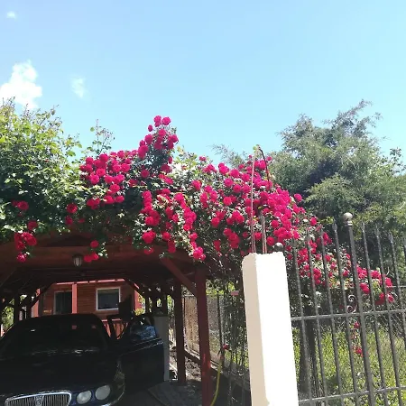 Casuta Din Padure Holiday home *