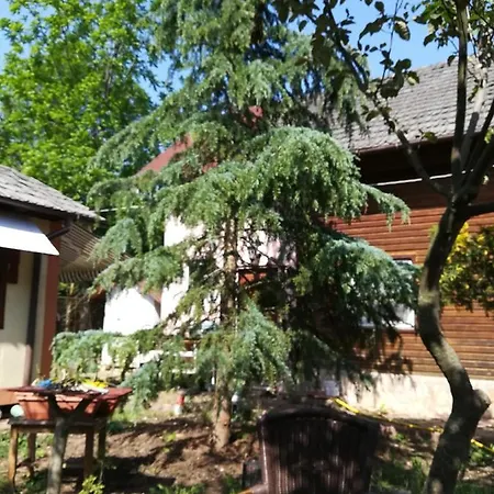 Holiday home Casuta Din Padure *