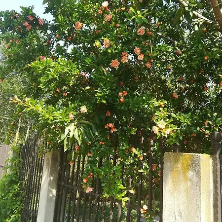 Casuta Din Padure Holiday home *